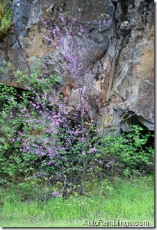 DSC05402