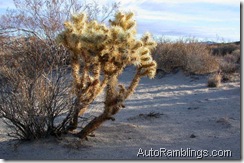 Picture 024