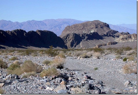 Picture 199